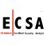 Certified Security Analyst - ECSA